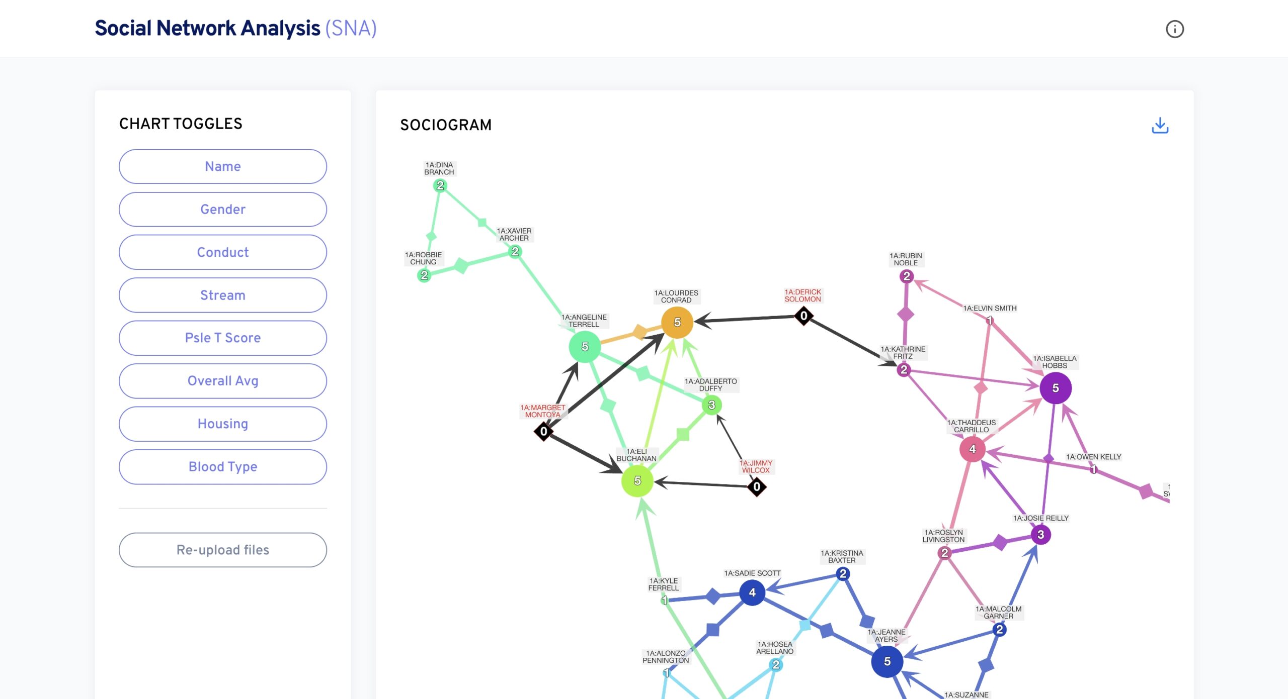 Social Network Analysis Sociogram