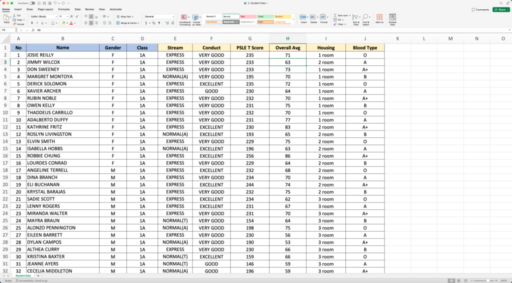 Sociomap - Student Data Excel Template